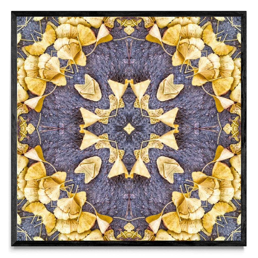 OTOÑAL-GINKO 1 - Cuadrado N