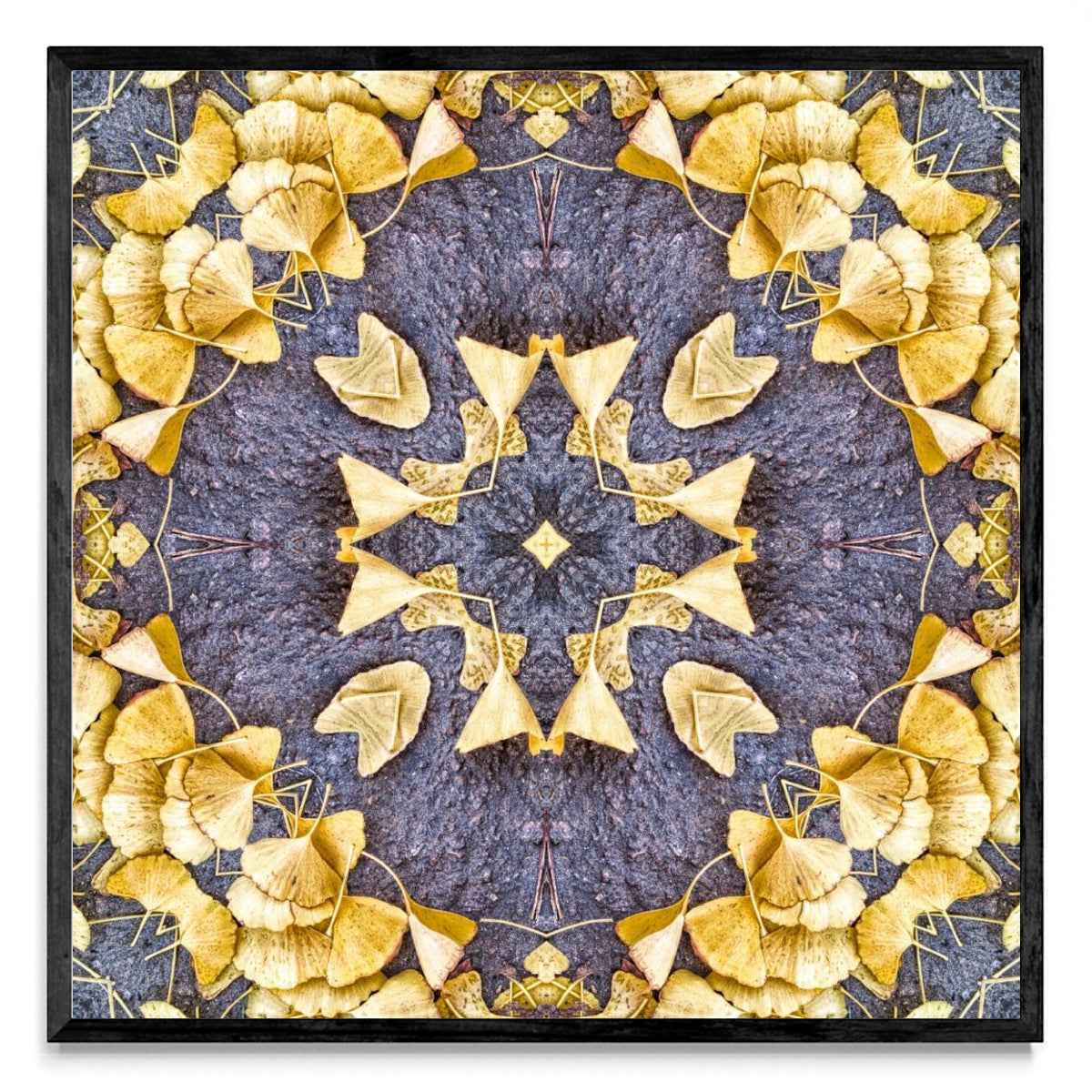 OTOÑAL-GINKO 1 - Cuadrado N