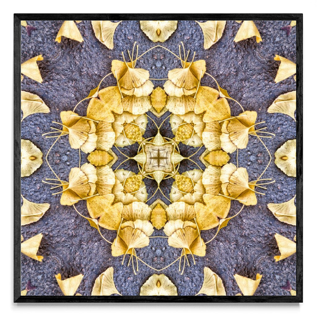 OTOÑAL-GINKO 2 - Cuadrado N