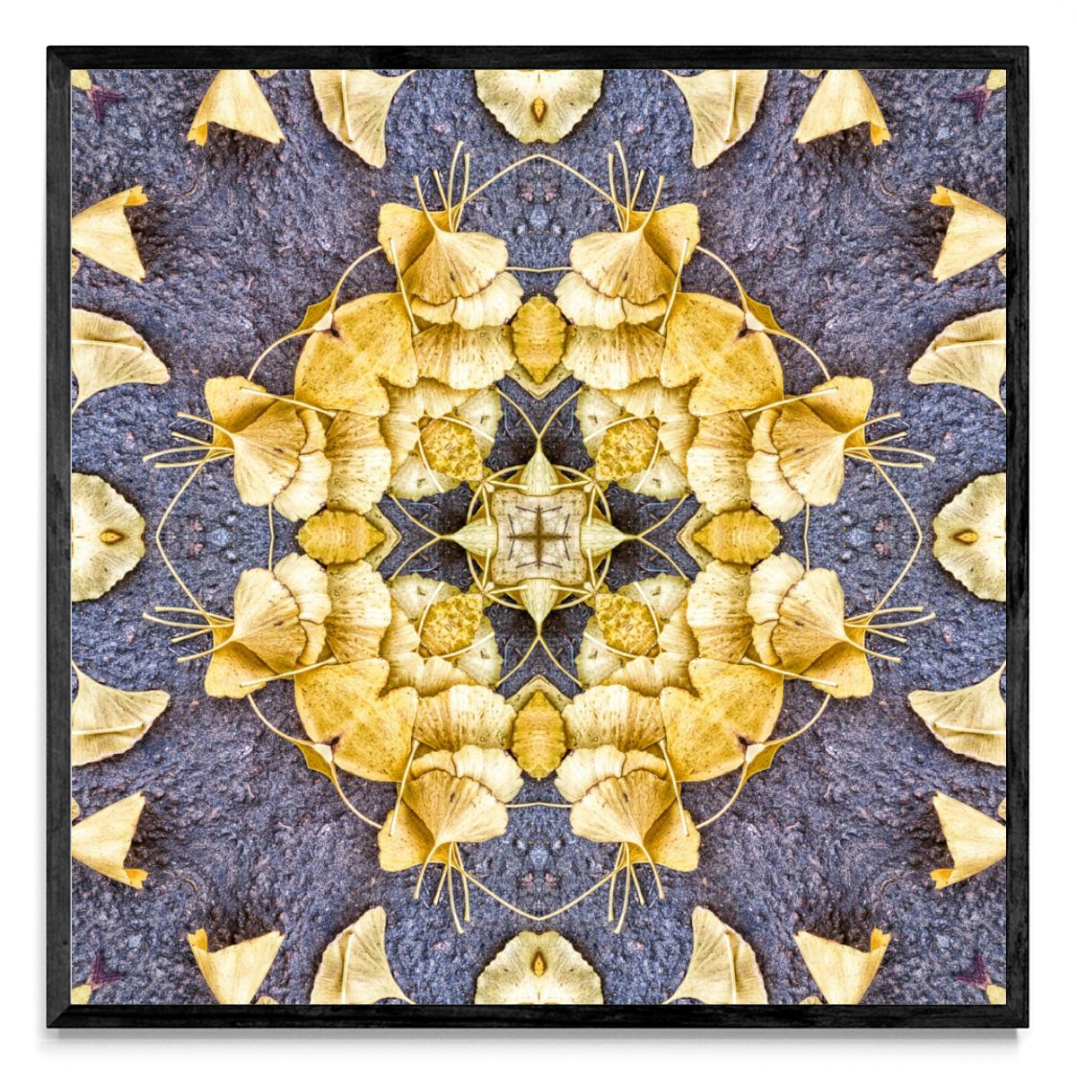OTOÑAL-GINKO 2 - Cuadrado N