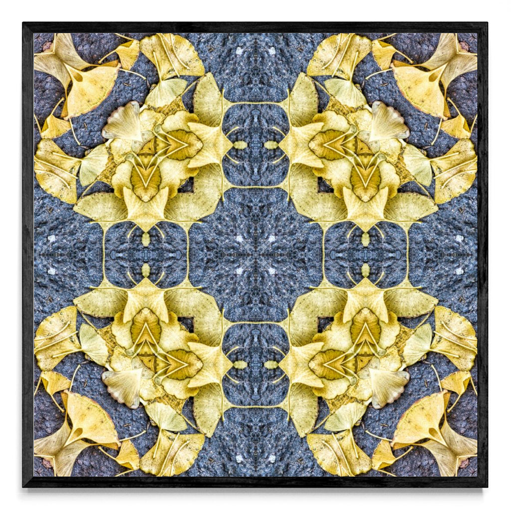 OTOÑAL-GINKO 3 - Cuadrado N