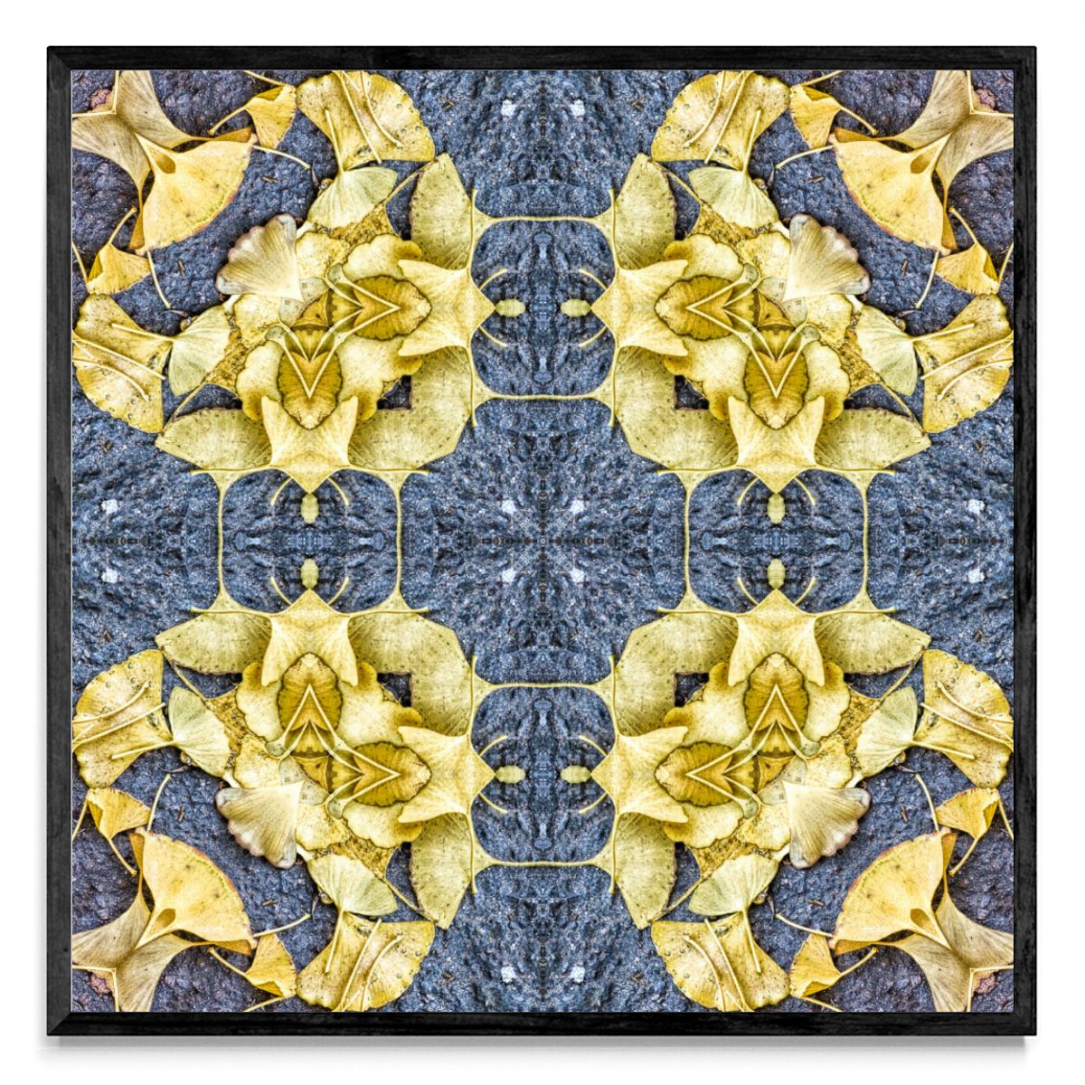 OTOÑAL-GINKO 3 - Cuadrado N