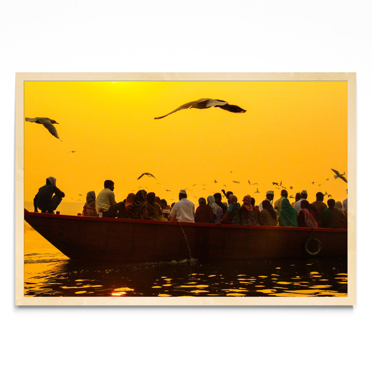 Gaviotas del Ganges - FotoH MC