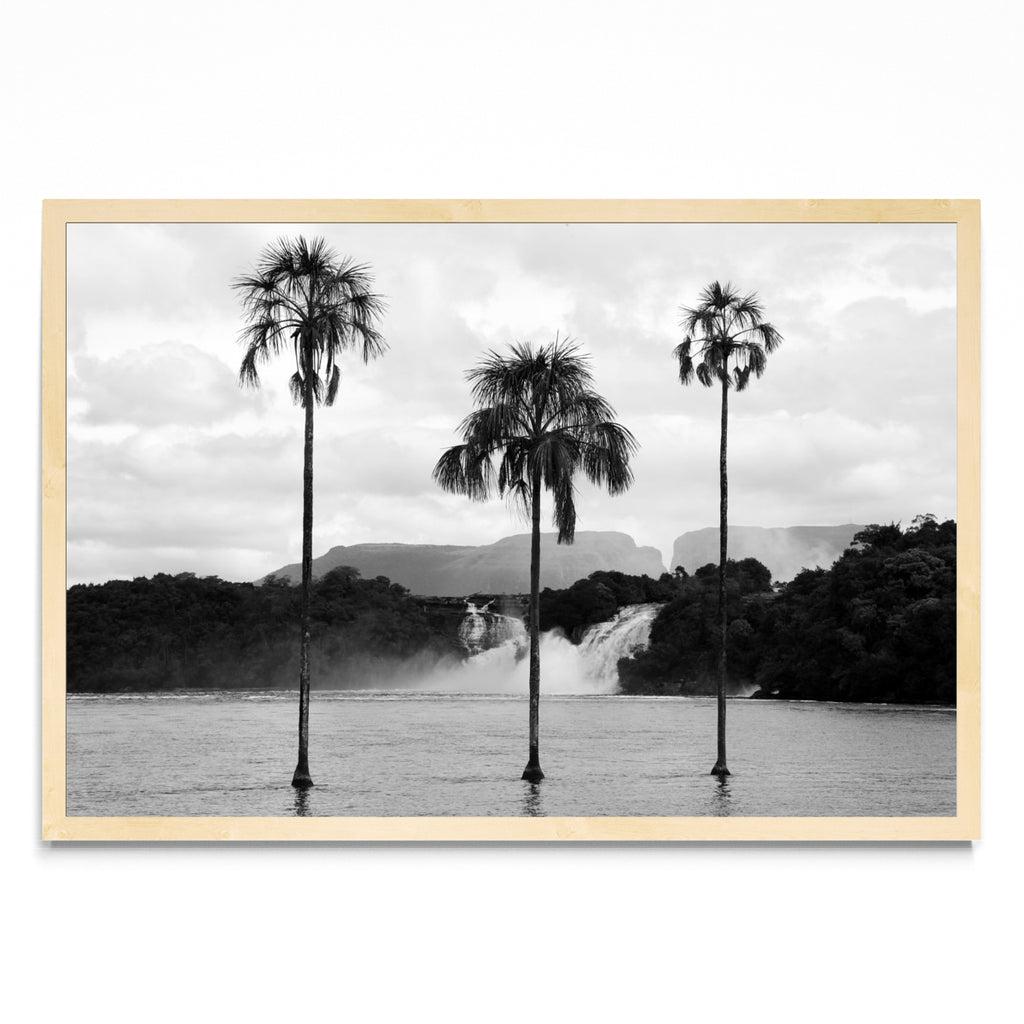 CANAIMA - FotoH MC