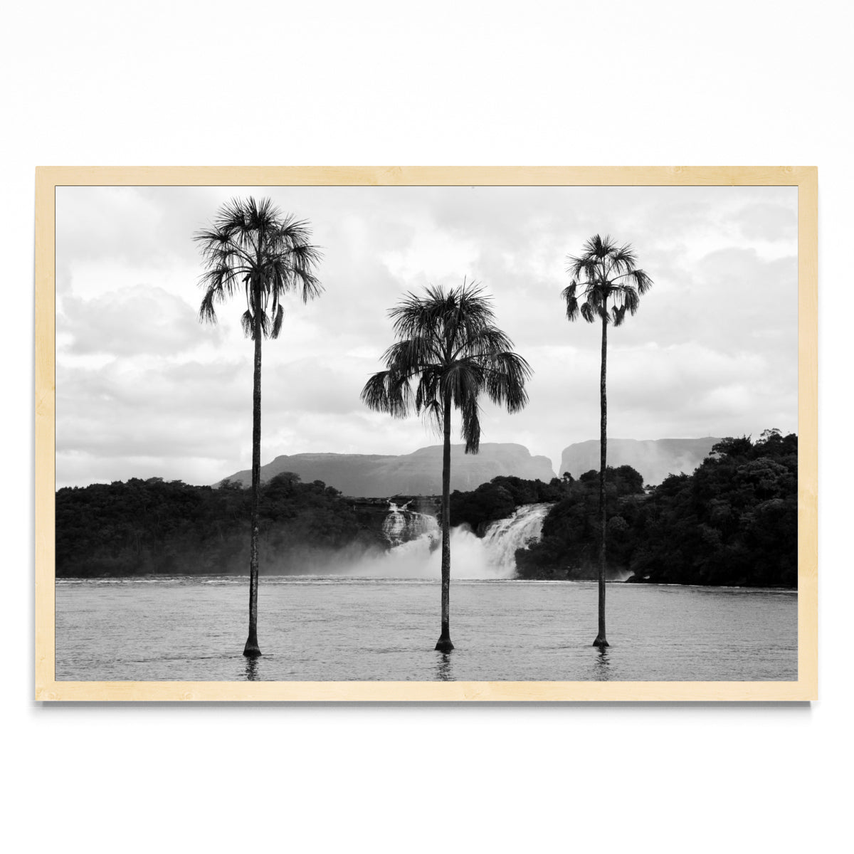 CANAIMA - FotoH MC