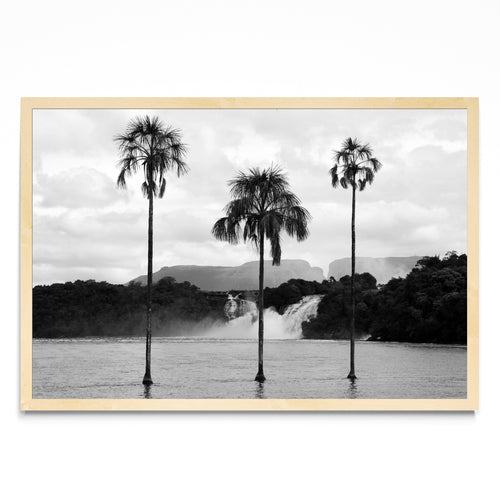 CANAIMA - FotoH MC