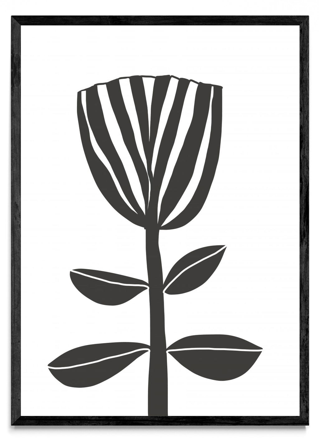 TULIPE - Retrato N