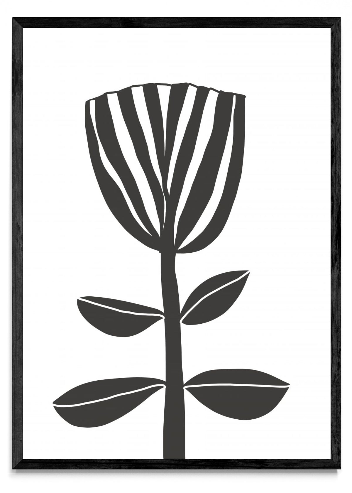 TULIPE - Retrato N