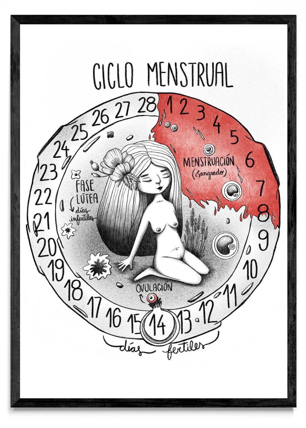 Ciclo menstrual - Retrato N