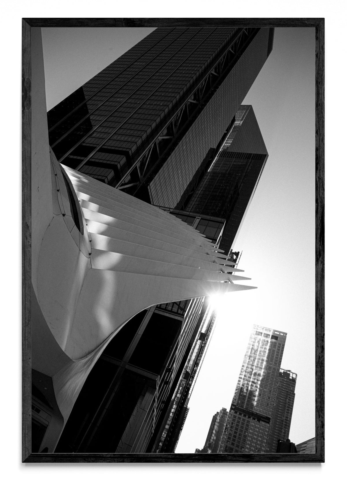 The Oculus II - FotoV N