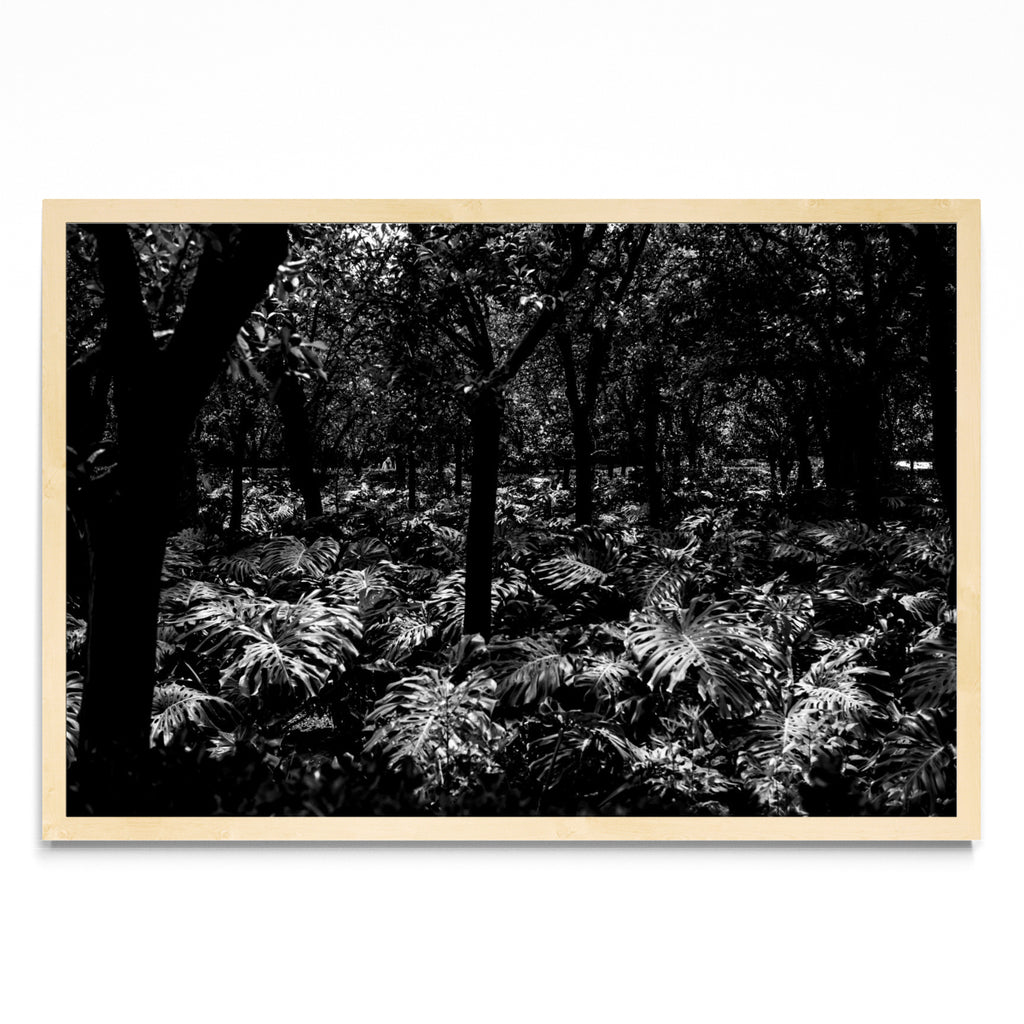 Jardines Reales - FotoH MC