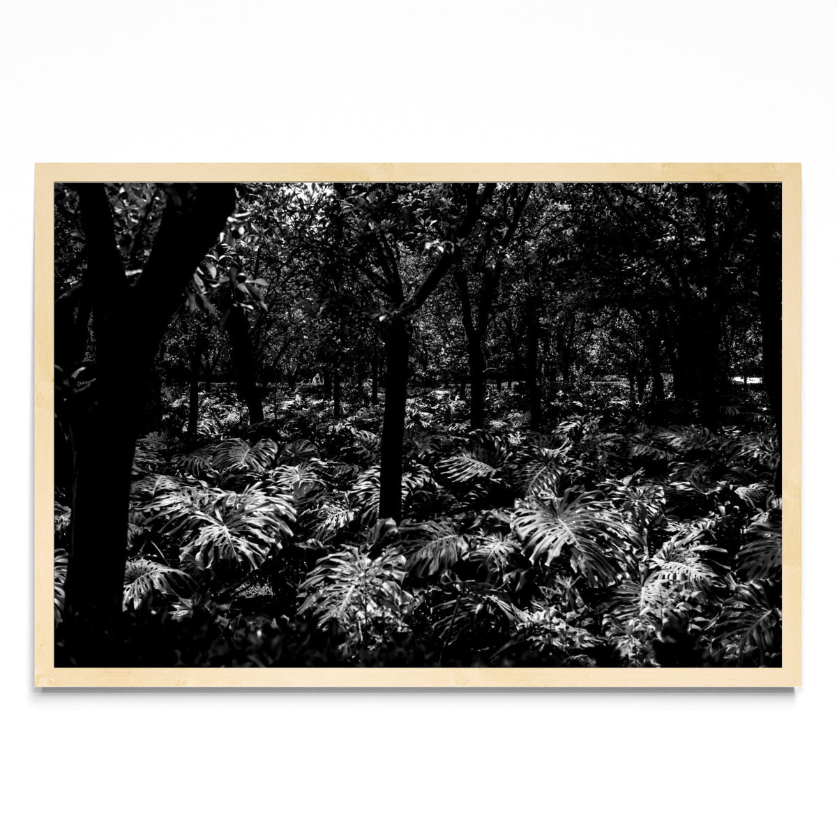 Jardines Reales - FotoH MC