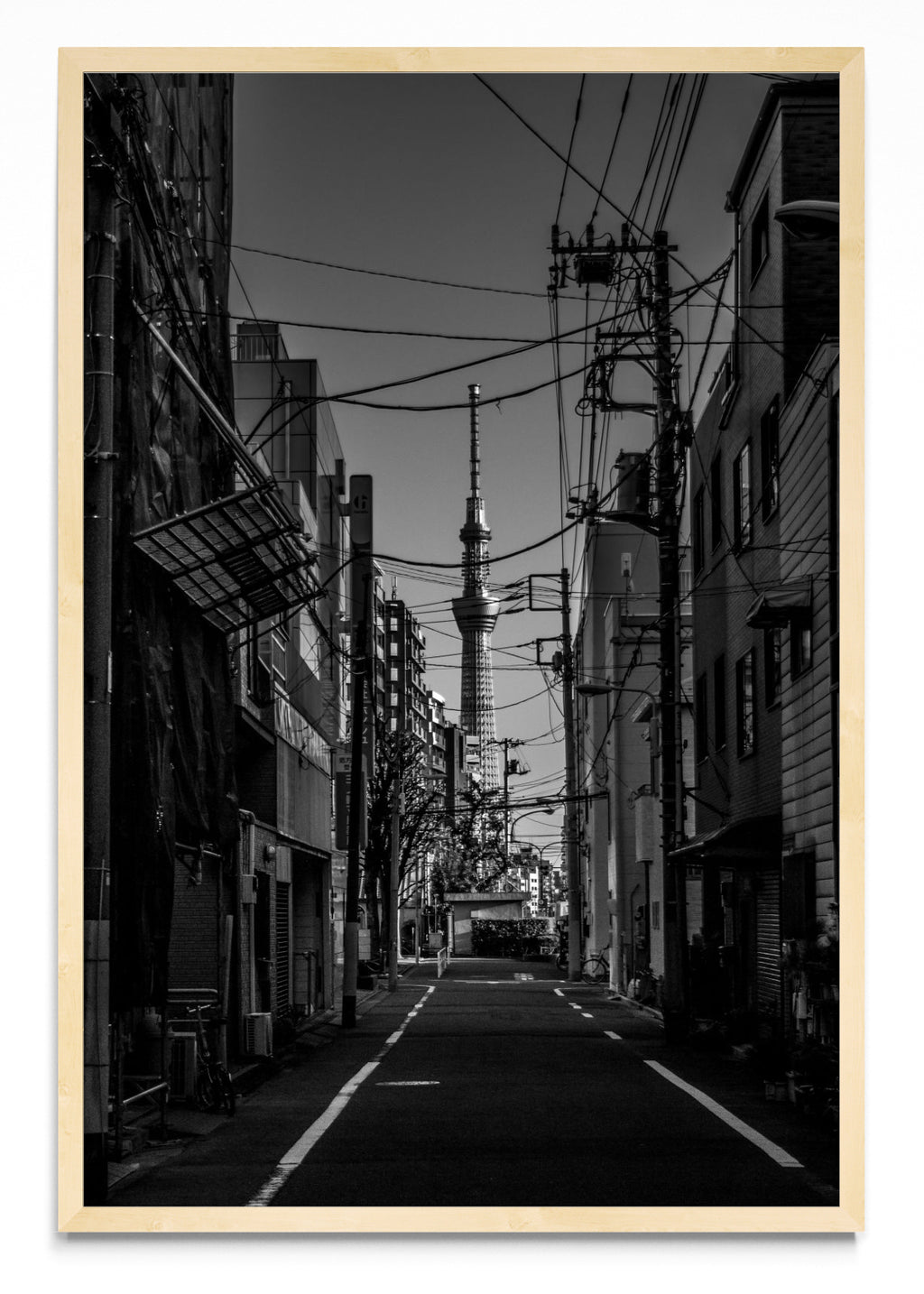 Sky Tree - FotoV MC