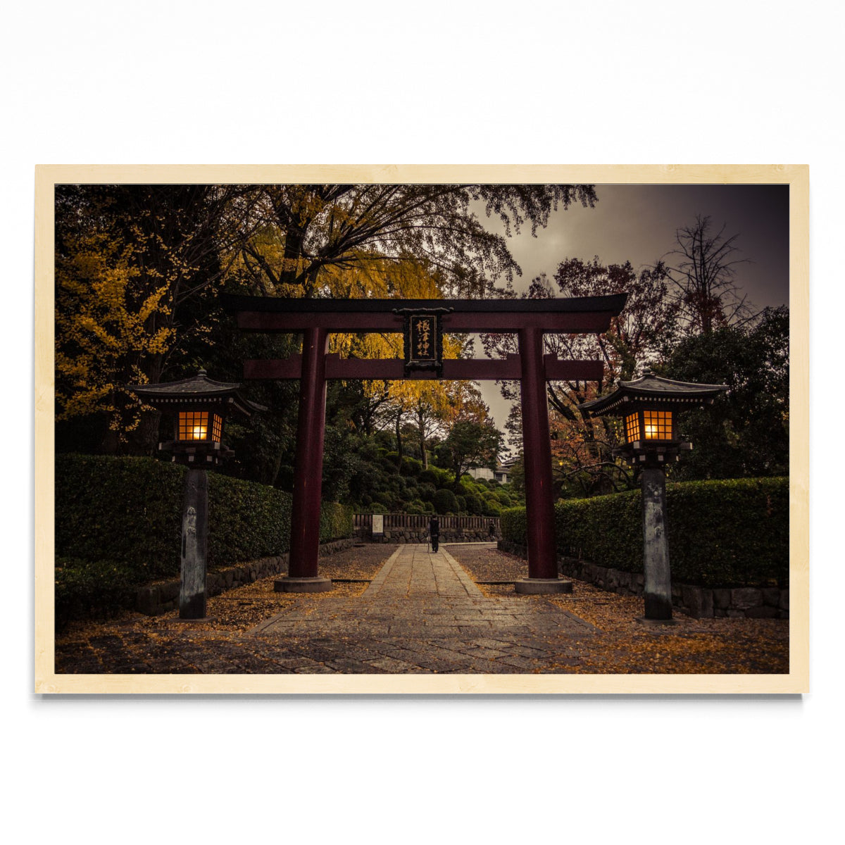 Nezu Shrine - FotoH MC