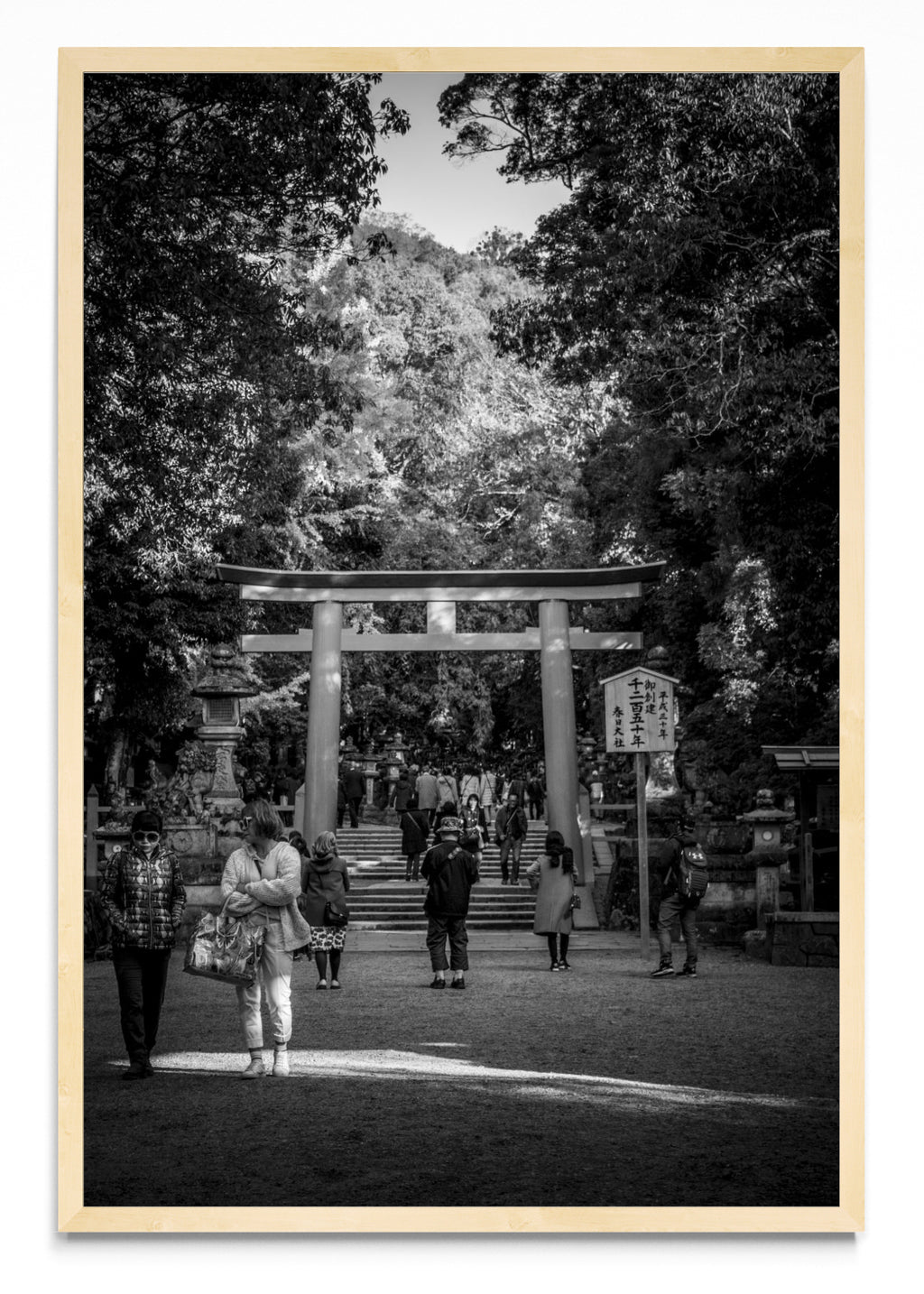 Nara torii - FotoV MC