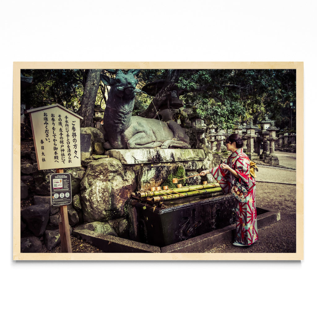 Tradición japonesa - FotoH MC