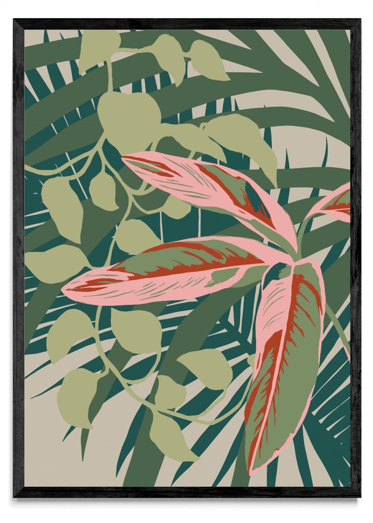 Calathea - Retrato N