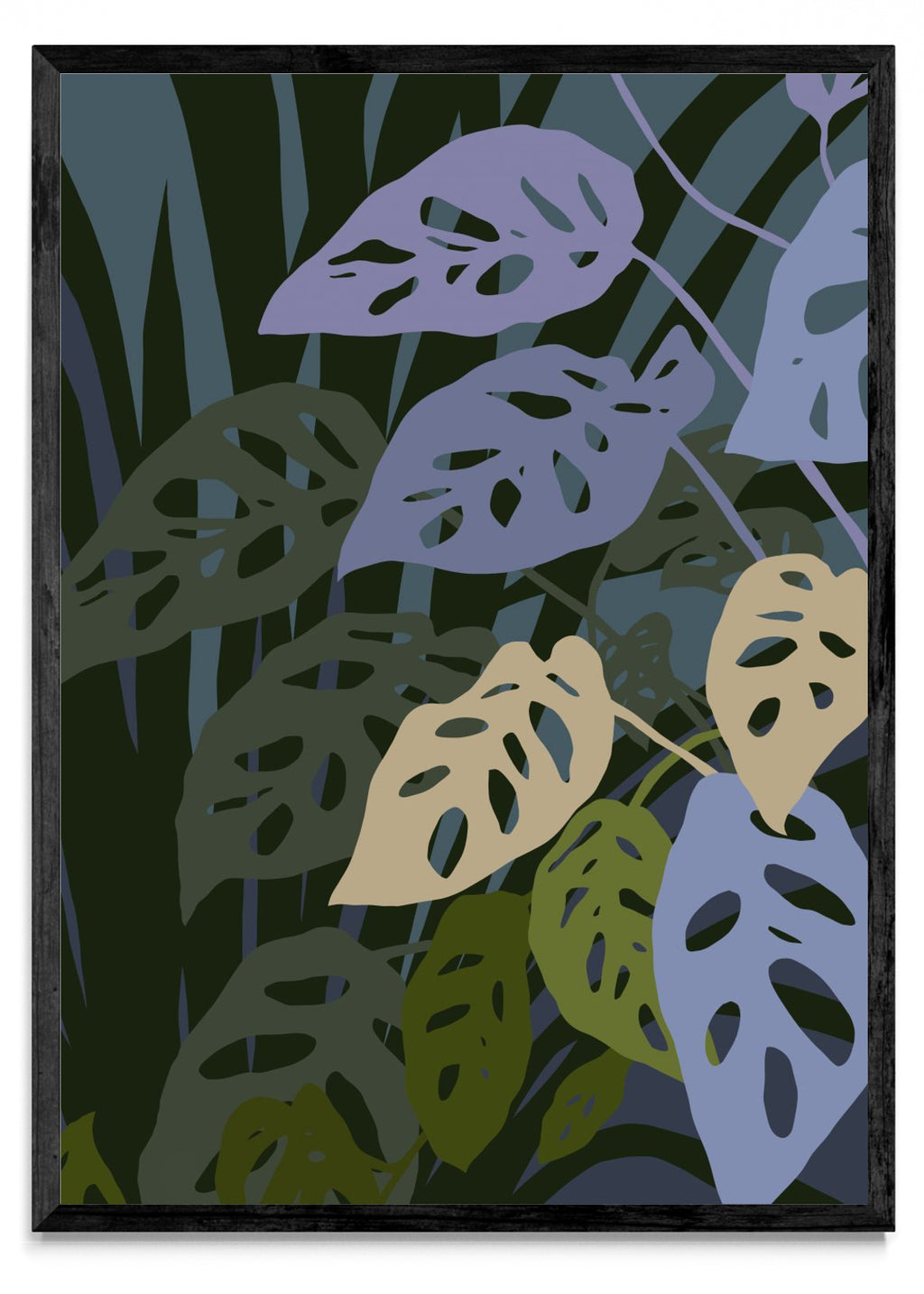 La monstera Adansonii - Retrato N