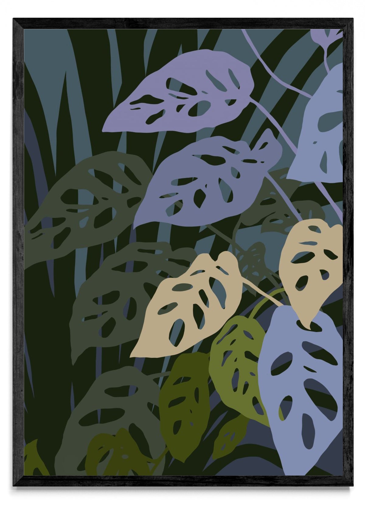 La monstera Adansonii - Retrato N