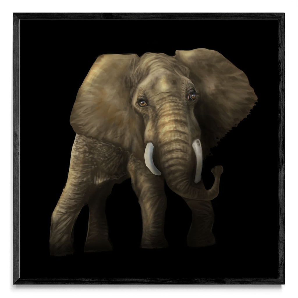 Tantor - Cuadrado N