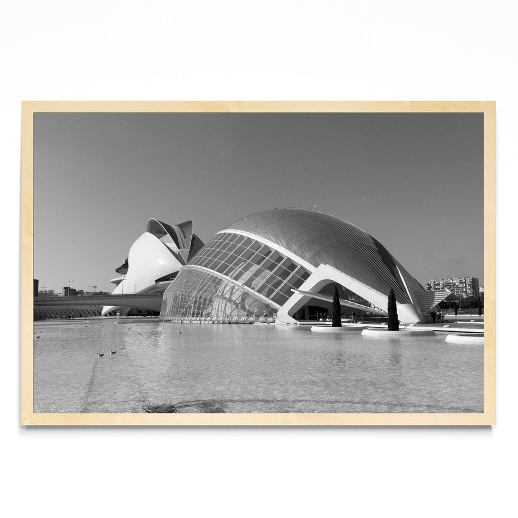 Ciudad de las Artes y las Ciencias - FotoH MC