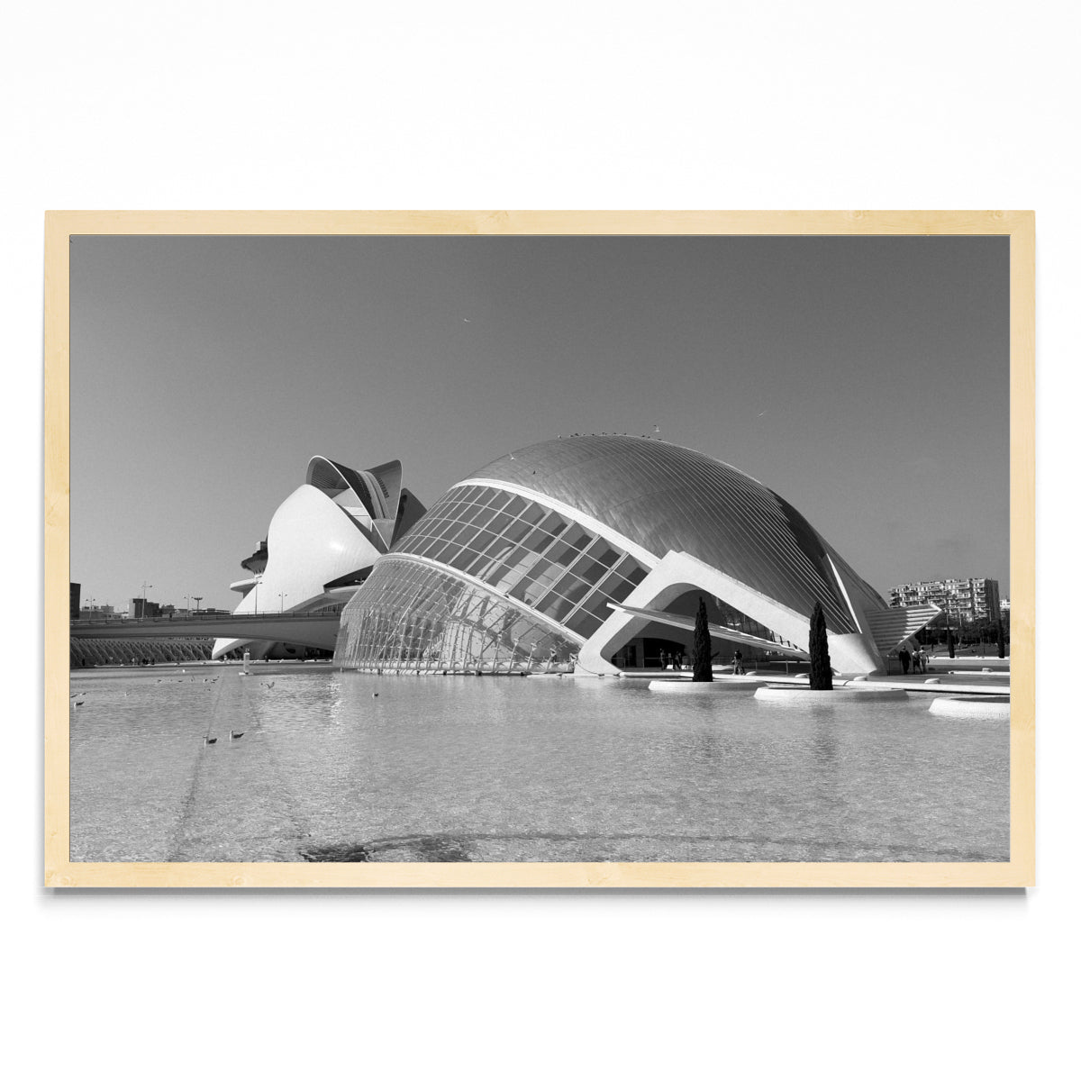 Ciudad de las Artes y las Ciencias - FotoH MC