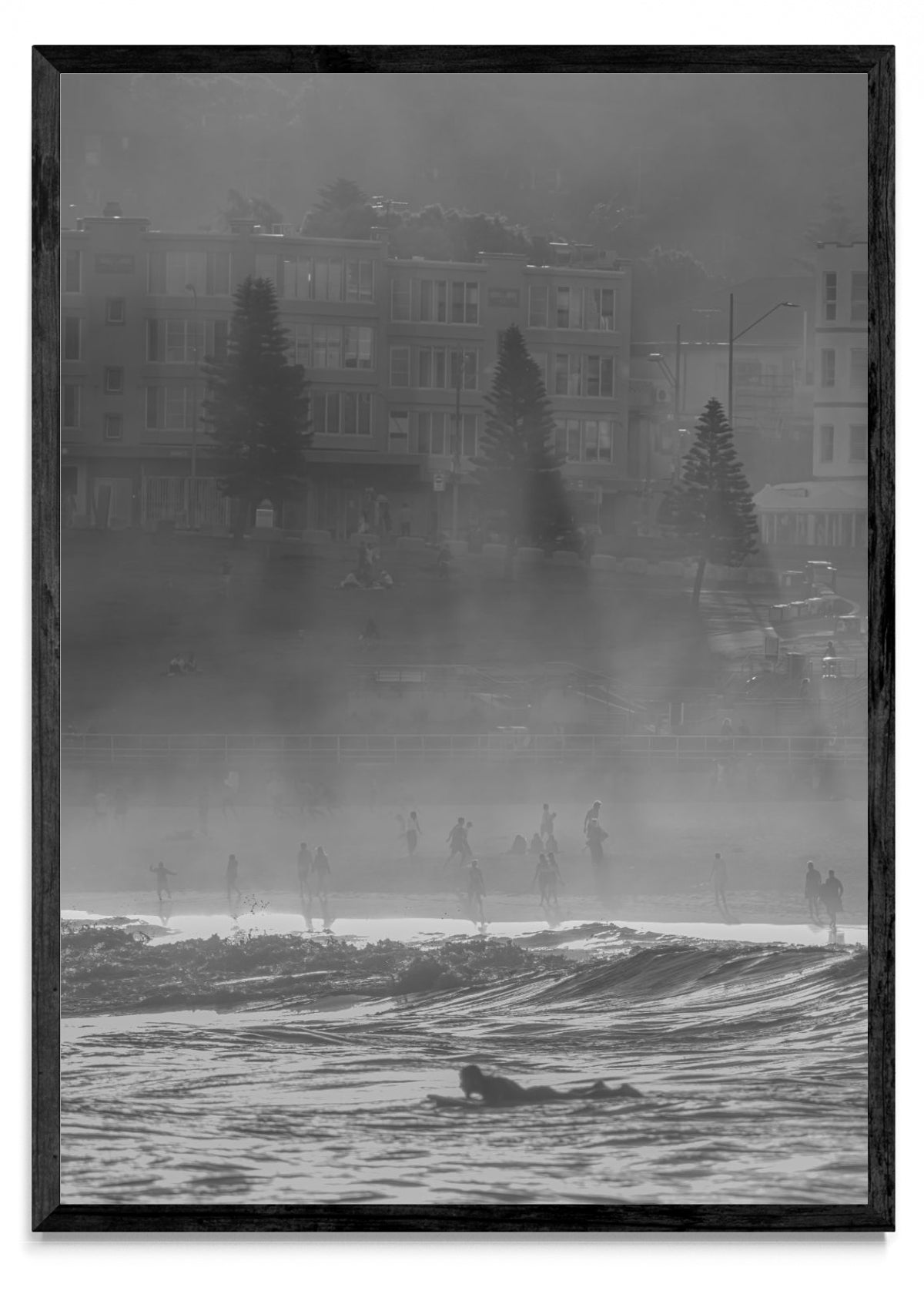 Foggy Bondi - Retrato N