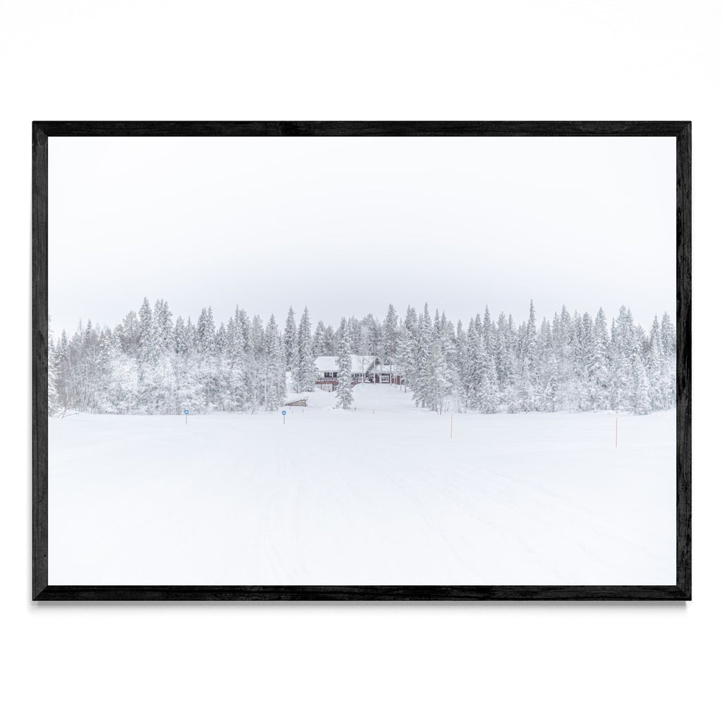 Lonely Winter - Paisaje N