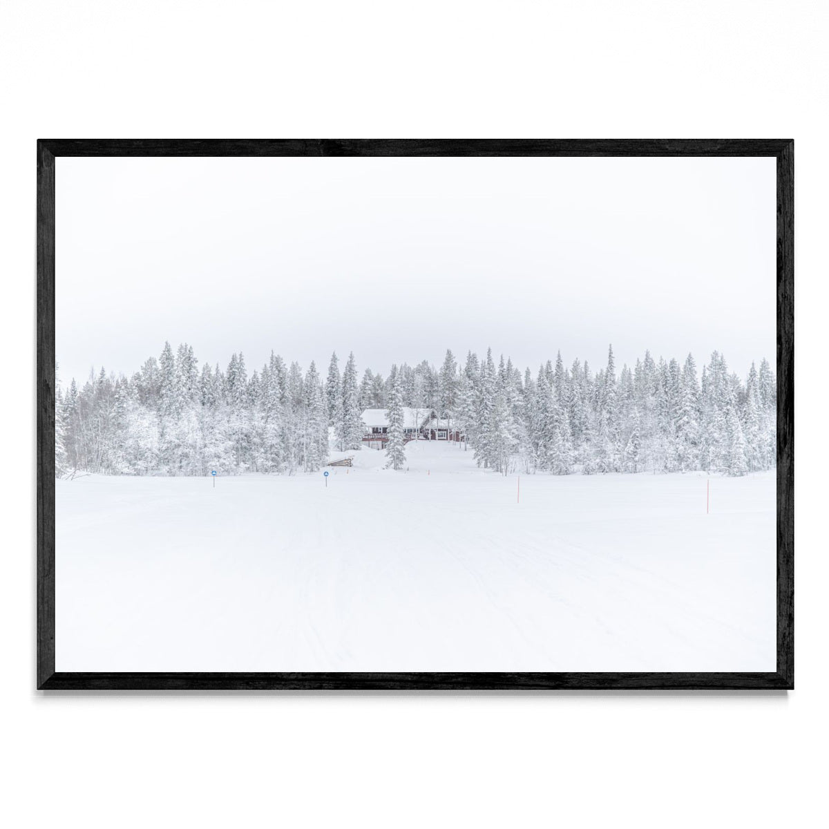 Lonely Winter - Paisaje N