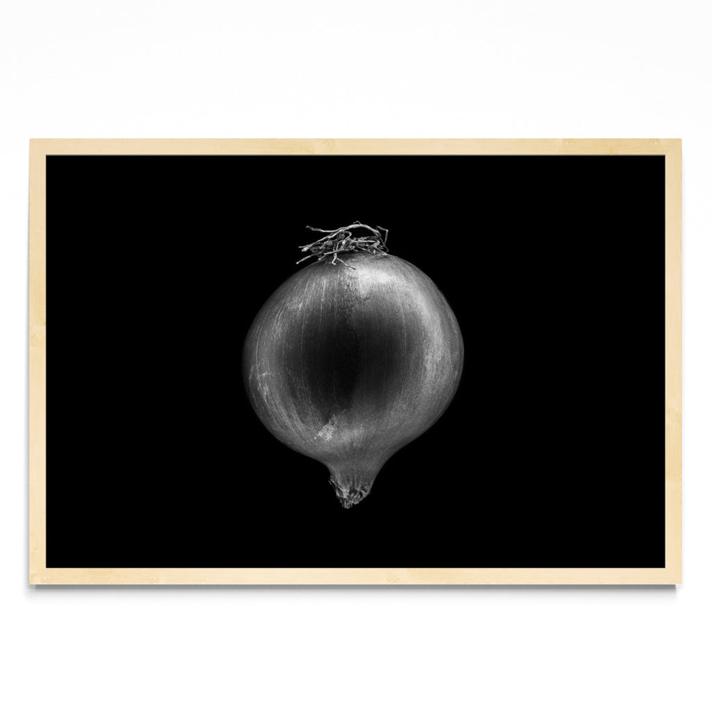Black and white onion - FotoH MC