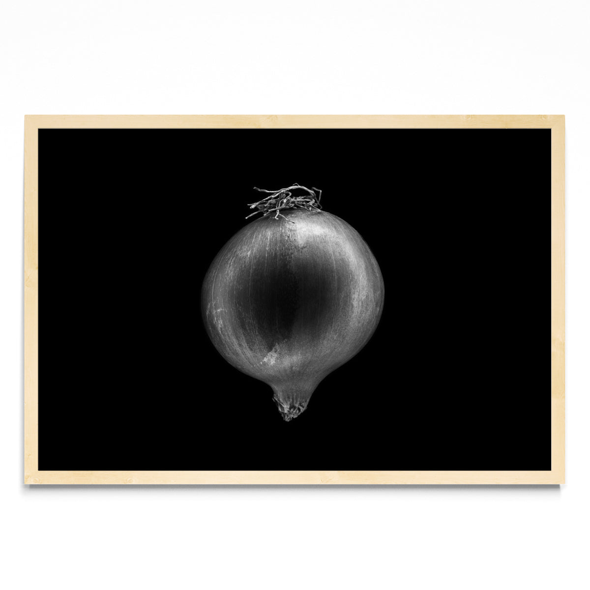Black and white onion - FotoH MC