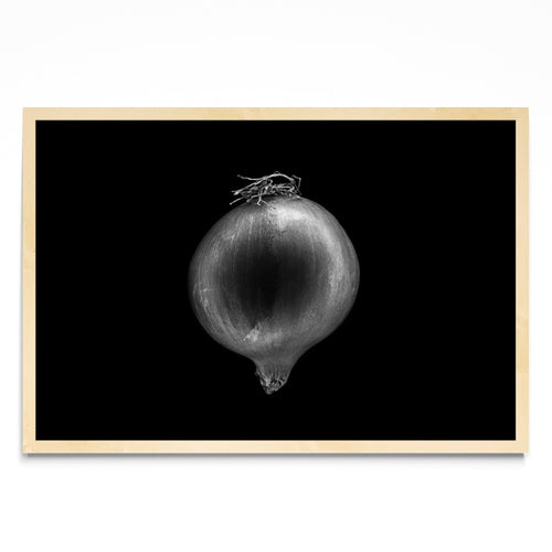 Black and white onion - FotoH MC
