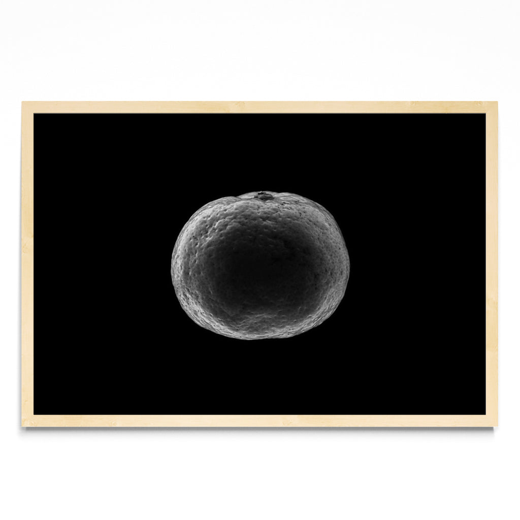 Black and white tangerine - FotoH MC