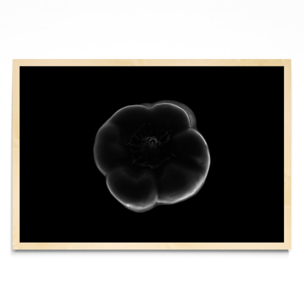 Black and white bell pepper - FotoH MC