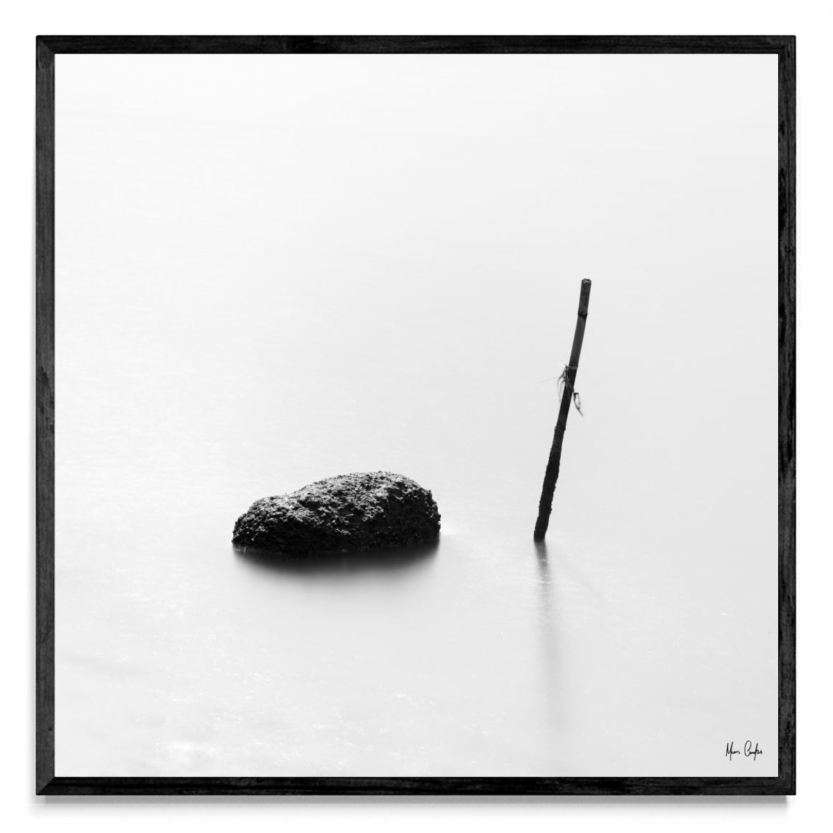 PAU E PEDRA - Cuadrado N
