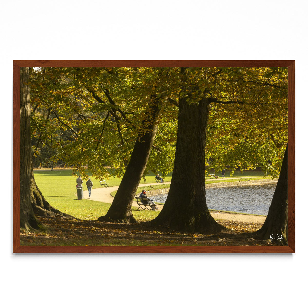 OTOÑO EN UN PARQUE BELGA - FotoH MO