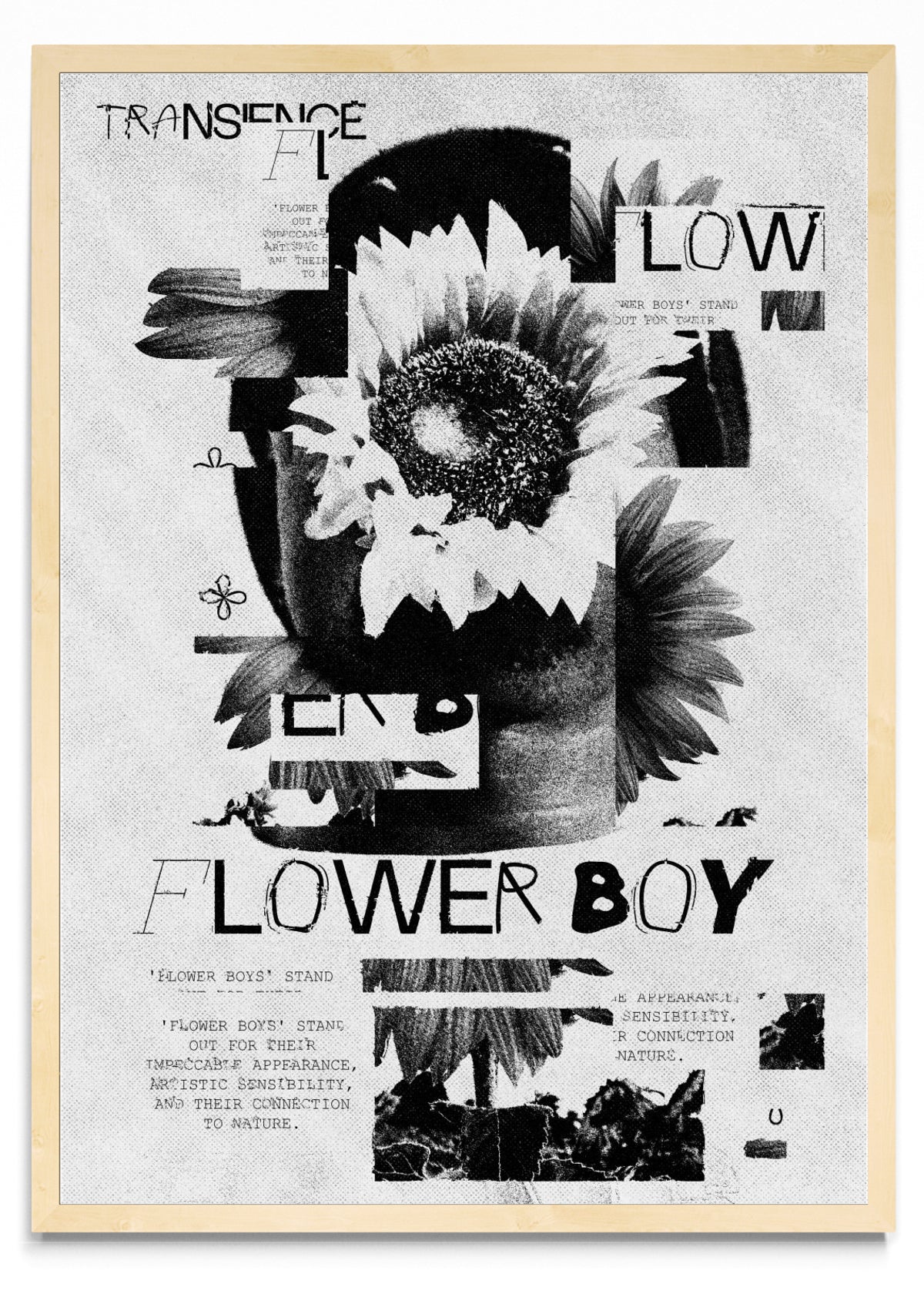 Flower Boy - Retrato MC
