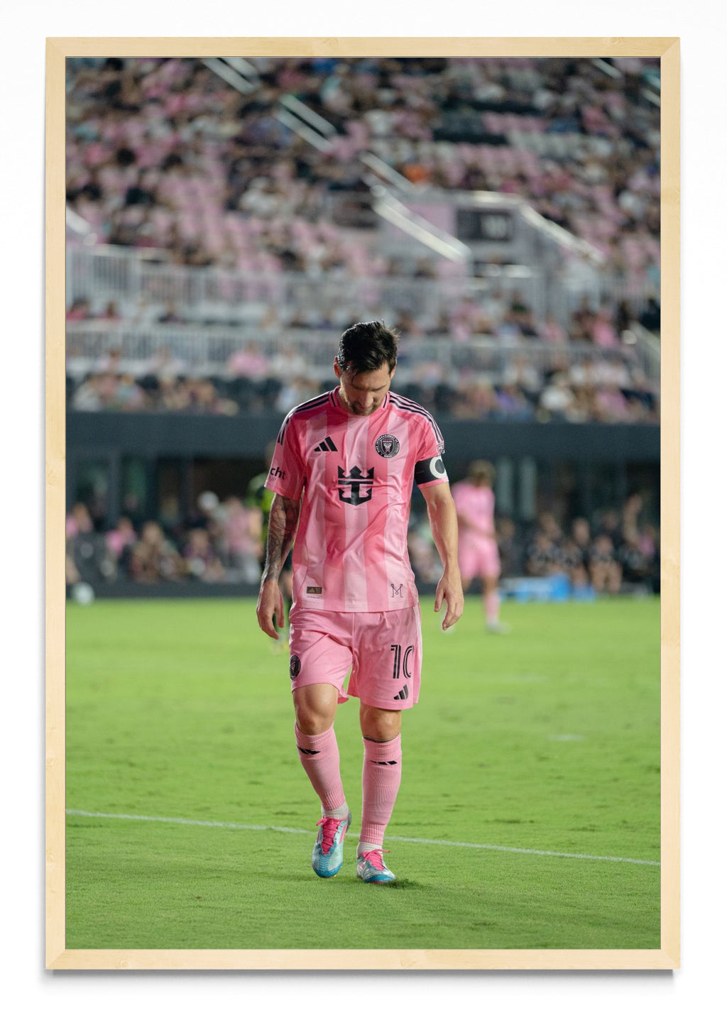 La calma del campeón - FotoV MC