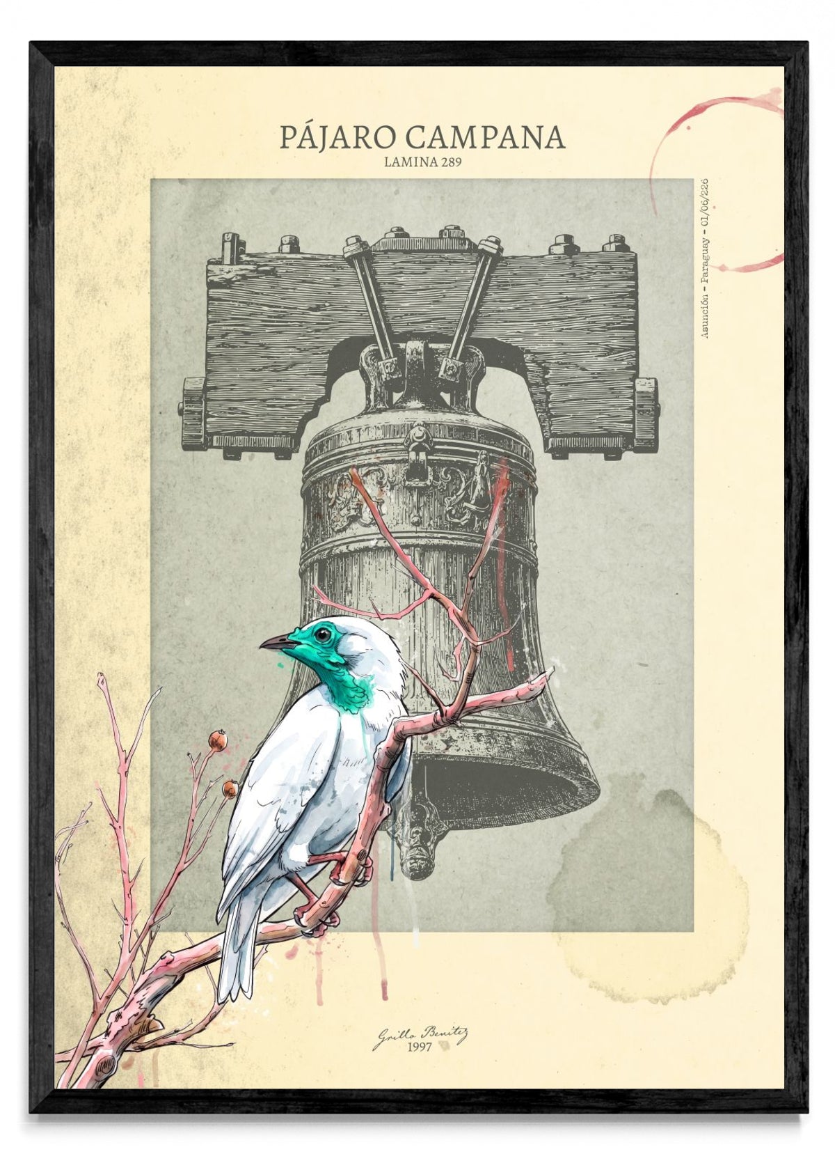 Pájaro Campana — Lámina 289 - Retrato N