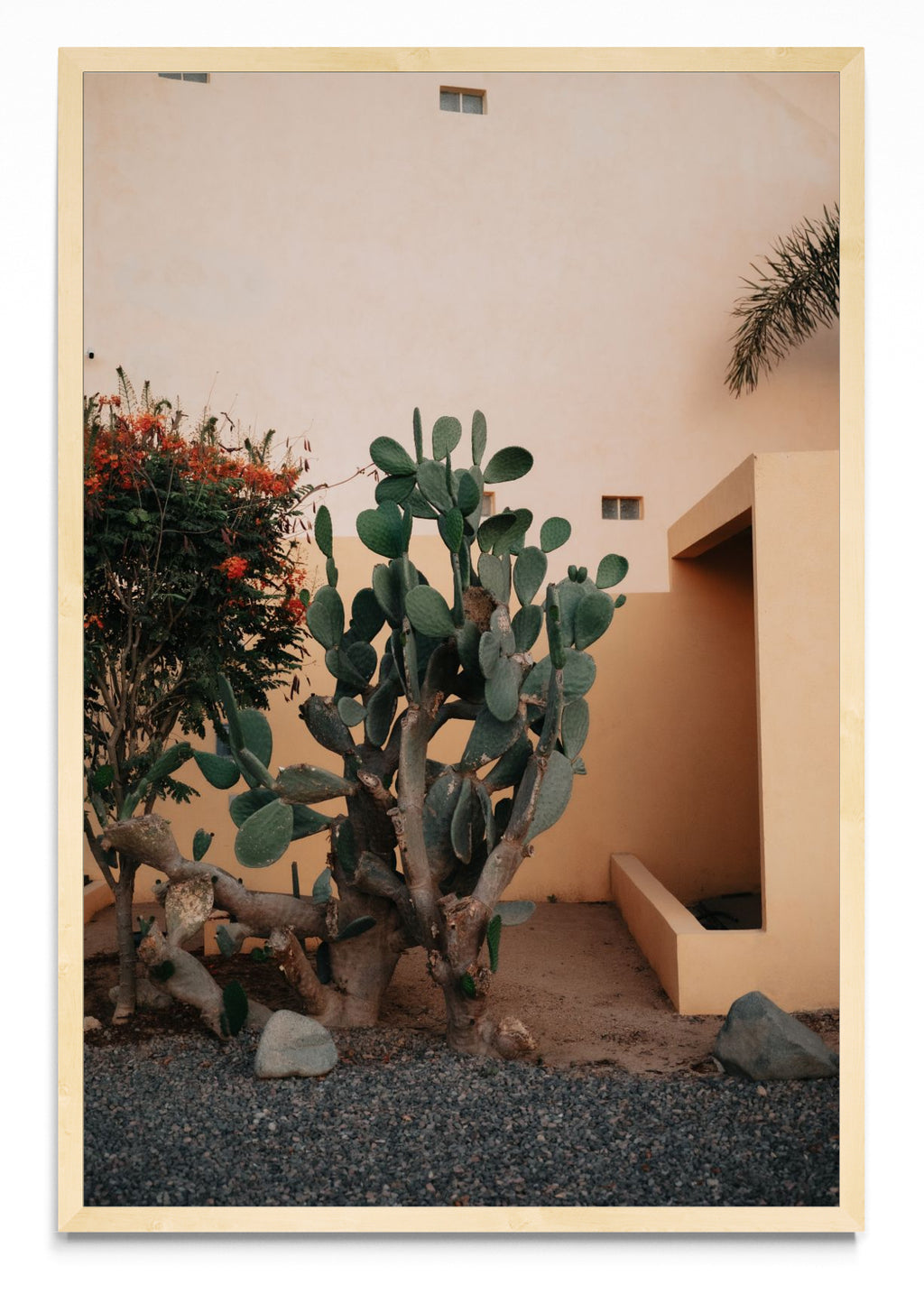 Cerritos, Baja California Sur, México - FotoV MC