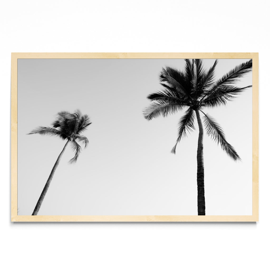 Sayulita Palms. Nayarit, México. - FotoH MC