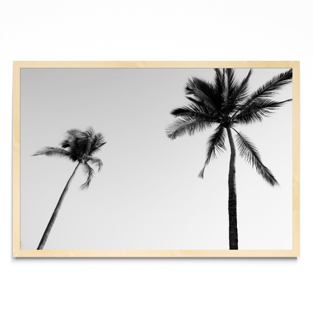 Sayulita Palms. Nayarit, México. - FotoH MC