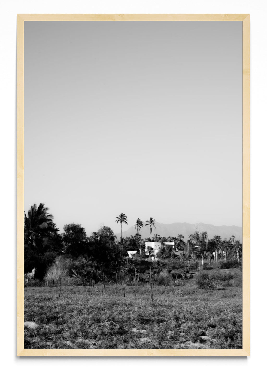 Todos Santos, Baja California Sur, México. - FotoV MC