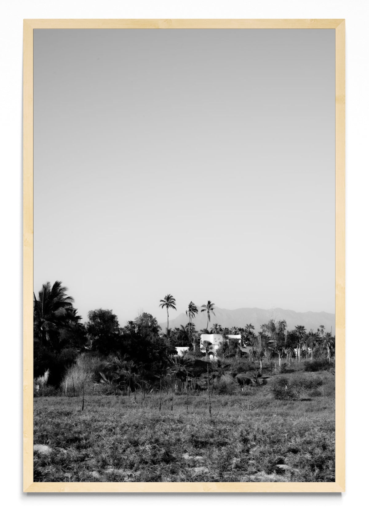 Todos Santos, Baja California Sur, México. - FotoV MC