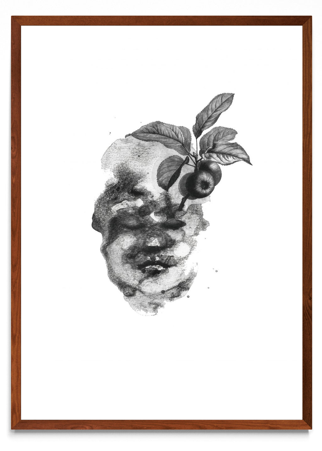 Fruto - Retrato MO