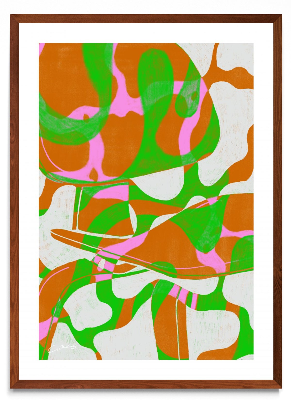 Plywood group - Retrato MO
