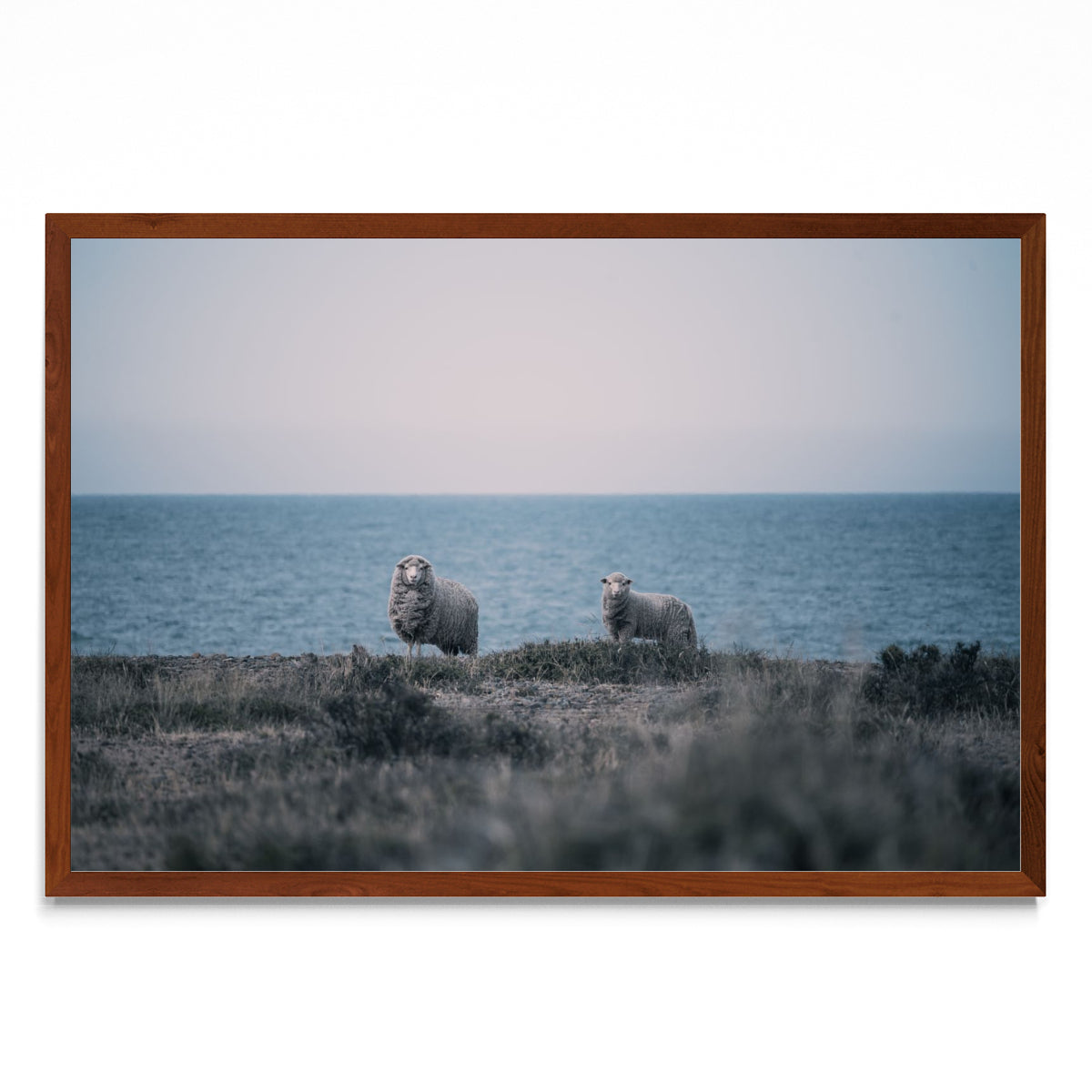A la distancia - FotoH MO