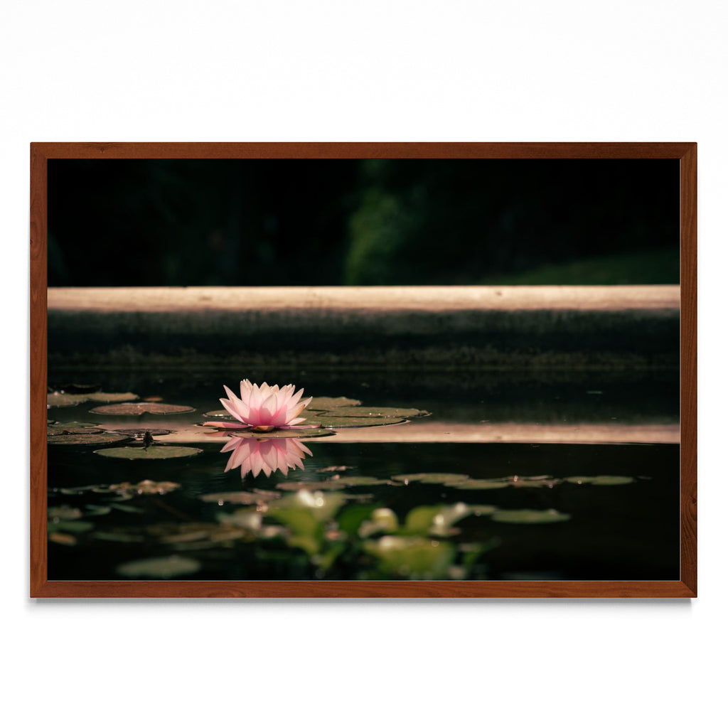 Flor en la superficie - FotoH MO