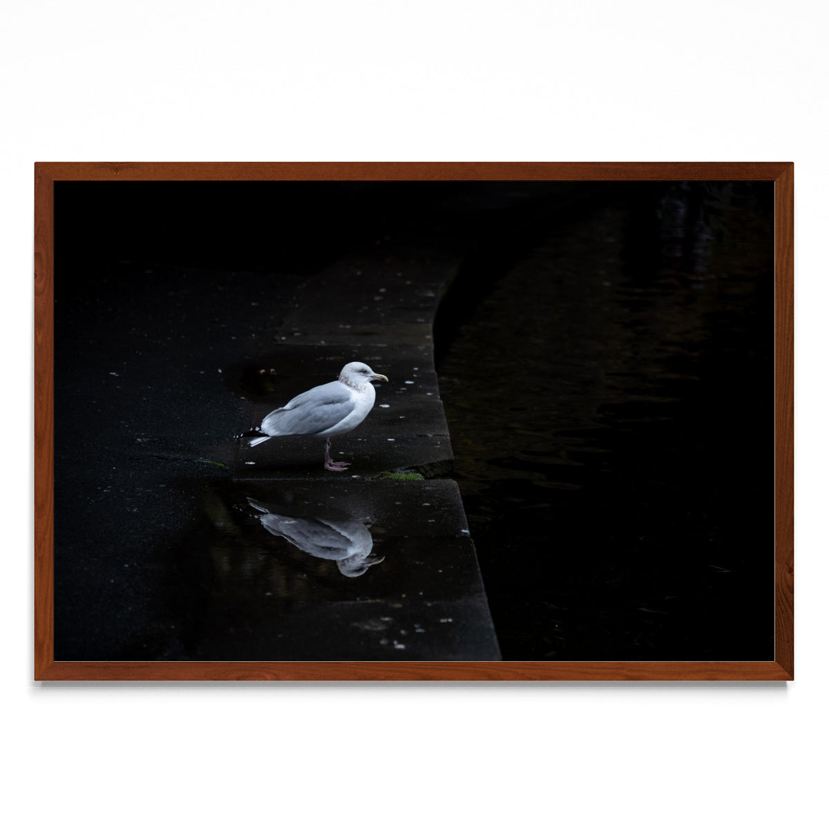 El pensamiento - FotoH MO