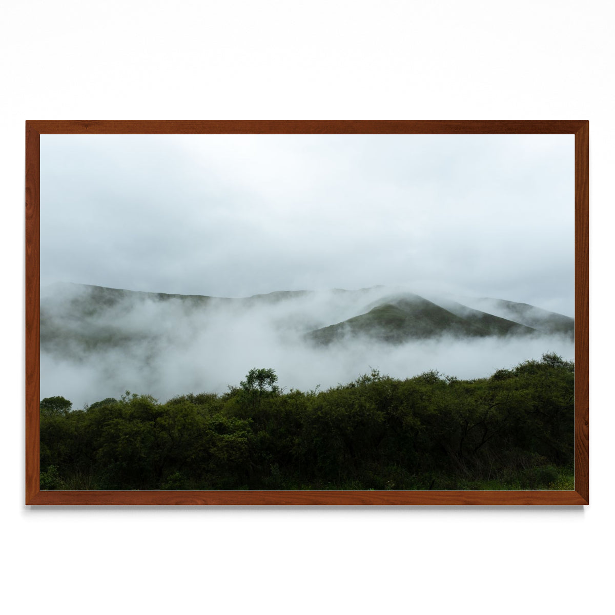 Nubes entre árboles - FotoH MO